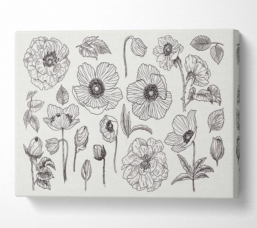 Picture of Hand Drawn Flowers Illustration Canvas Print Wall Art