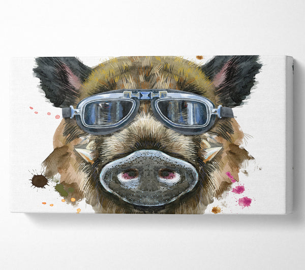 The Boar In Glasses