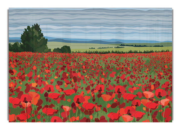 Red Poppy Field Flowers