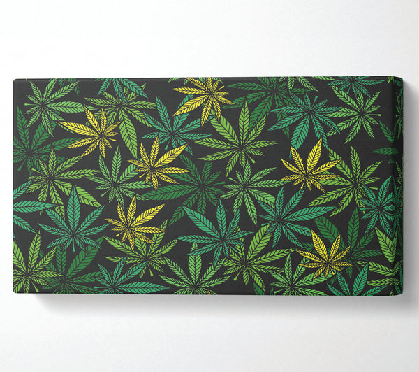 Cannabis Leaves