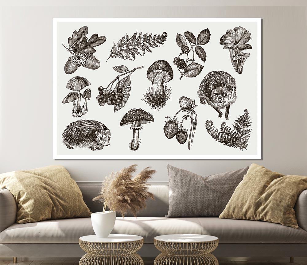 British Flowers And Wildlife Print Poster Wall Art