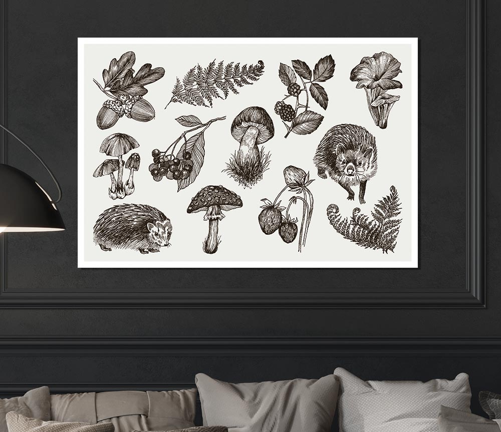 British Flowers And Wildlife Print Poster Wall Art