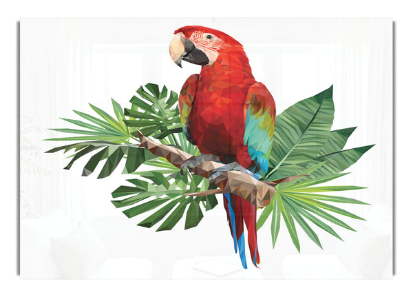 Parrot On A Branch