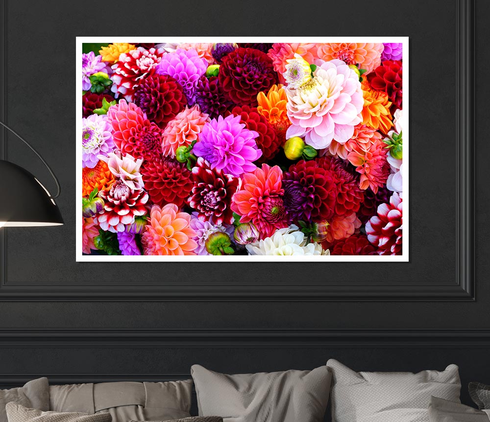 Huge Flower Explosion Print Poster Wall Art