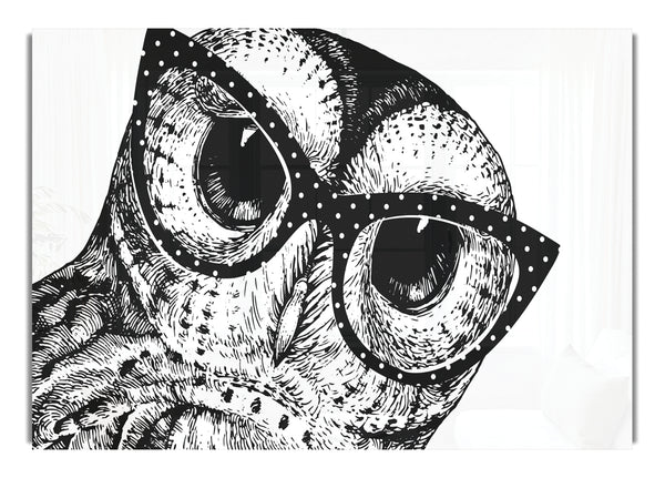 The Smart Owl