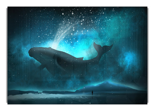 The Whale Of The Universe