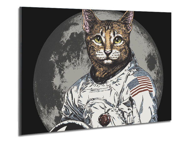 Cat Astronaut