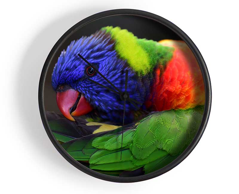 Colourful Parrot Feather Peck Clock - Wallart-Direct UK