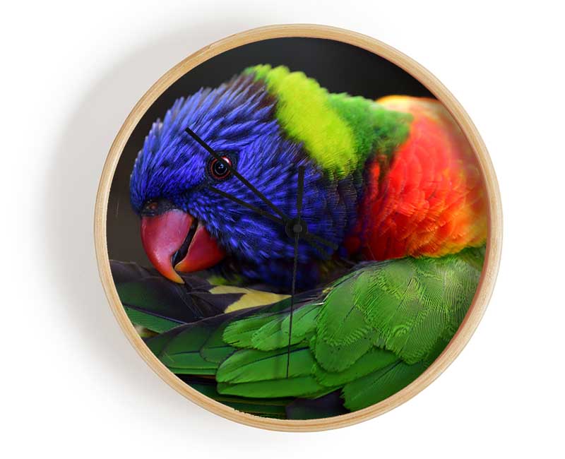 Colourful Parrot Feather Peck Clock - Wallart-Direct UK