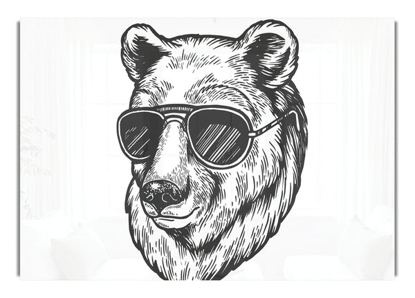 Bear Sunglasses Chill