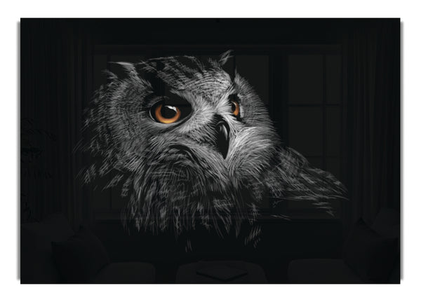 Owl In The Dark Of Night