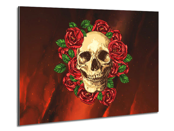 Roses Round A Skull