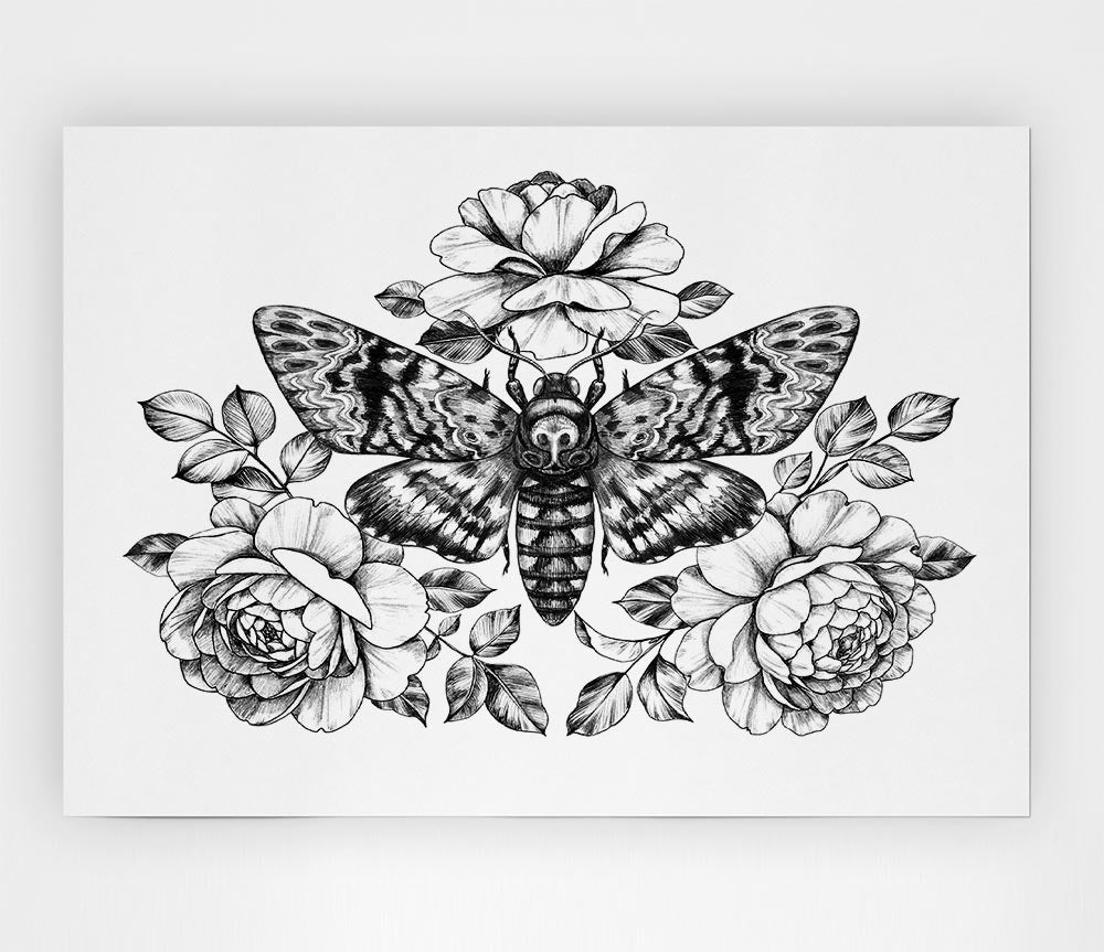 Death Head Moth Print Poster Wall Art