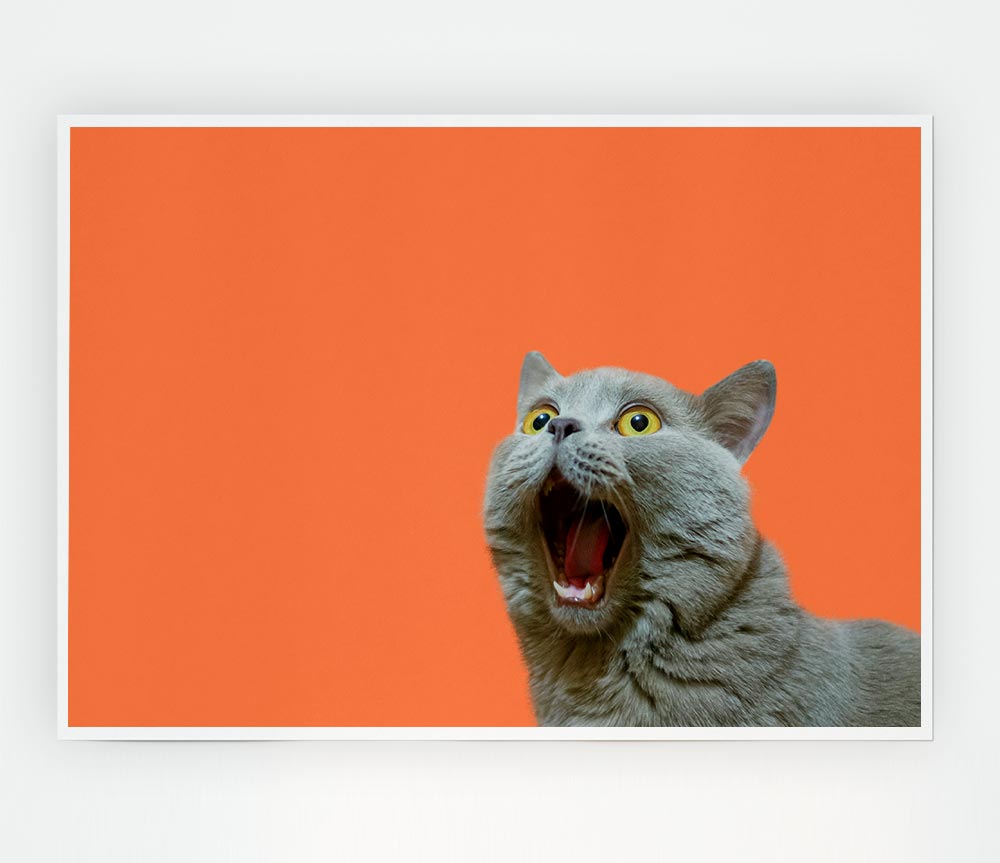 Cat On The Orange Print Poster Wall Art