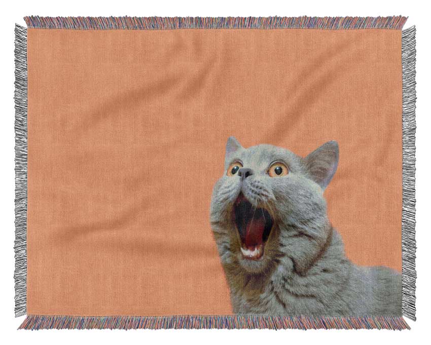 Cat On The Orange Woven Blanket