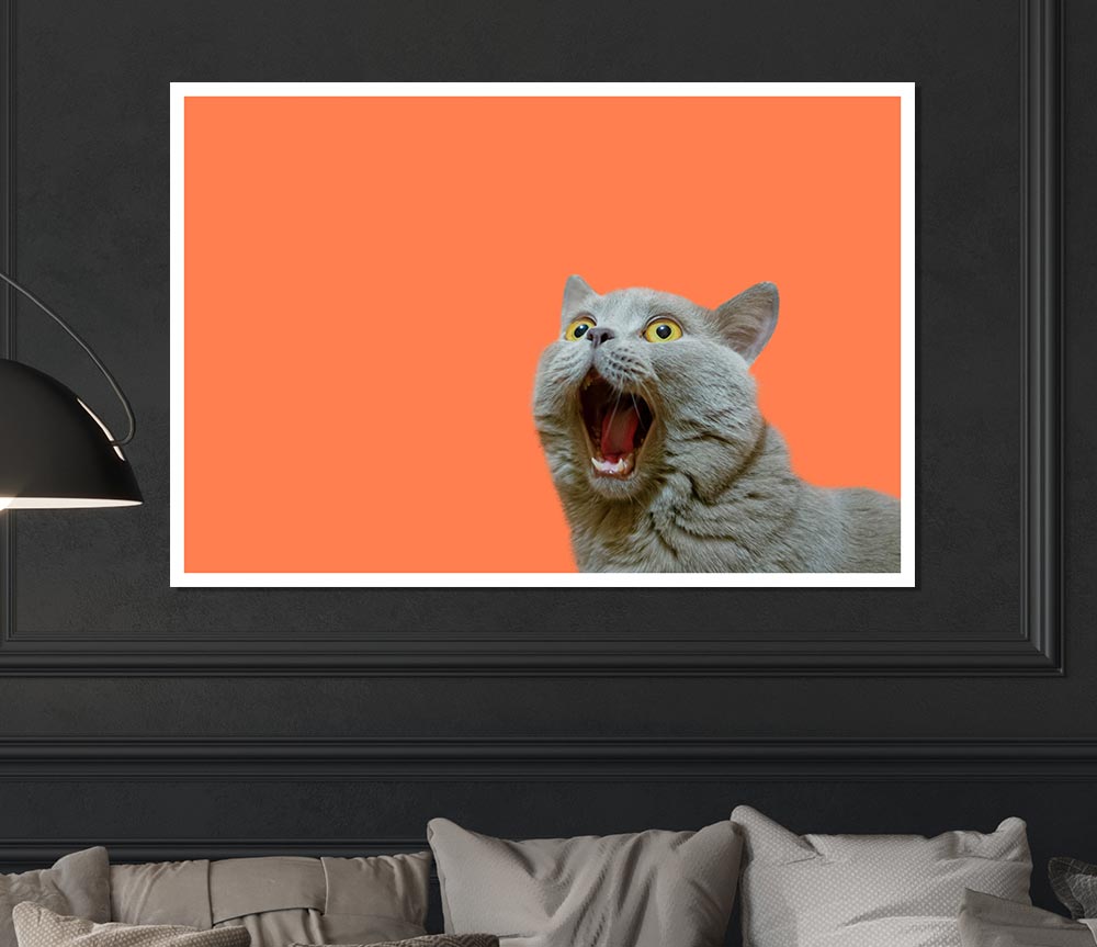 Cat On The Orange Print Poster Wall Art