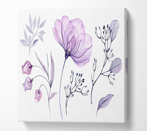 A Square Canvas Print Showing Small Lilac Crocus Illustration Square Wall Art