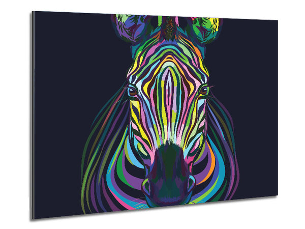 Stunning Zebra Vibrant