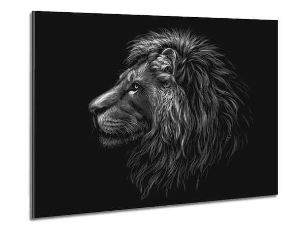 Side View Lion