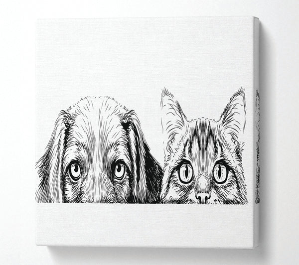 A Square Canvas Print Showing Cat And Dog Peep Square Wall Art