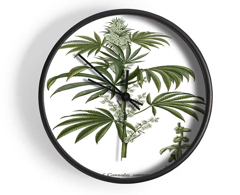 National History Botanics Clock - Wallart-Direct UK