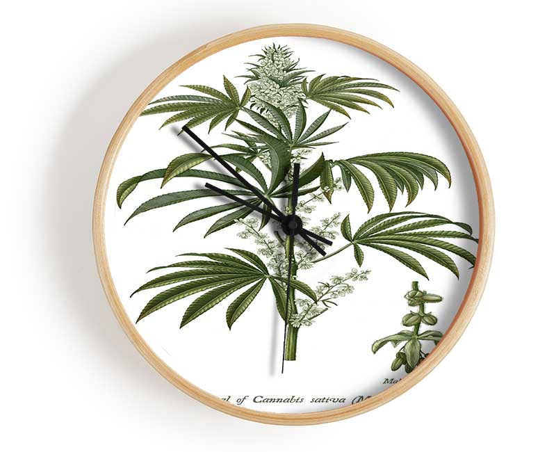 National History Botanics Clock - Wallart-Direct UK