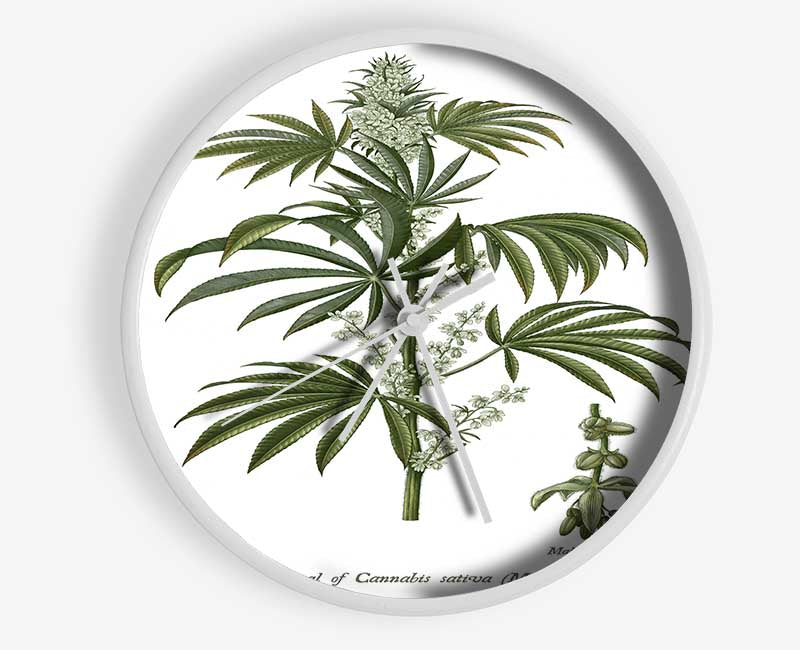 National History Botanics Clock - Wallart-Direct UK