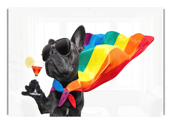 French Bulldog Pride