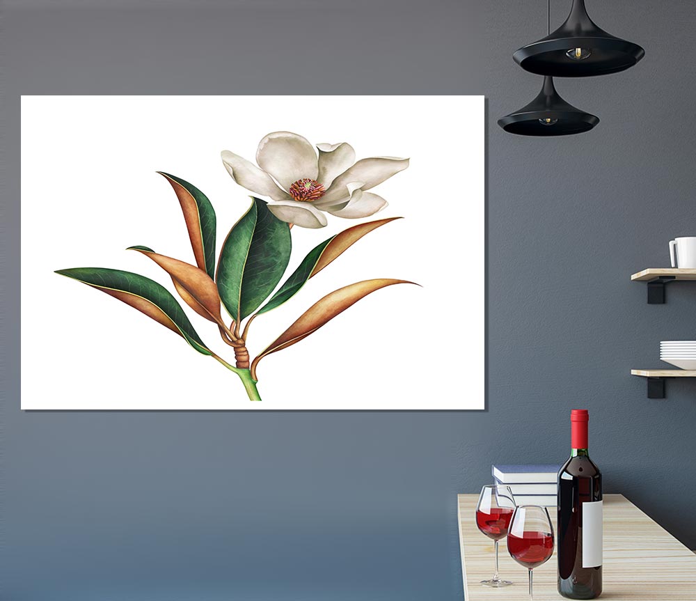 British Flower Illustration Print Poster Wall Art