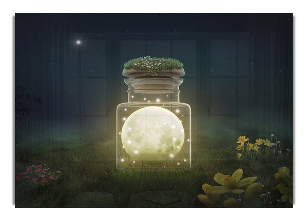 Moon In A Jar