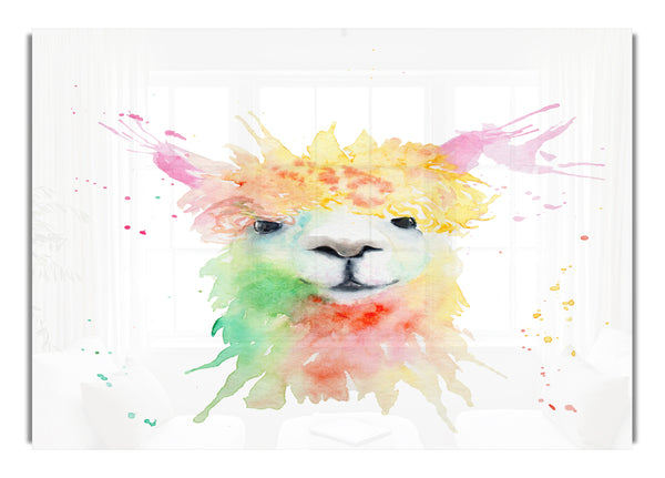 Splatter Colour Alpaca