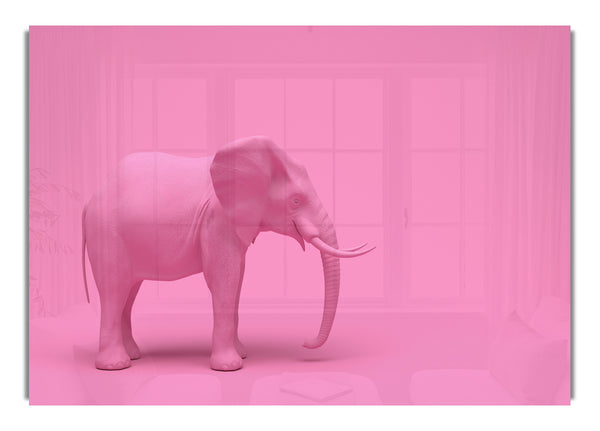 The Pink Elephant