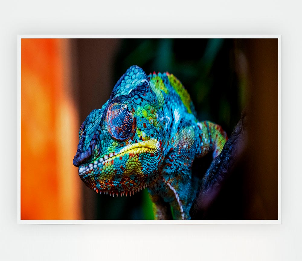 Chameleon Up Close Print Poster Wall Art