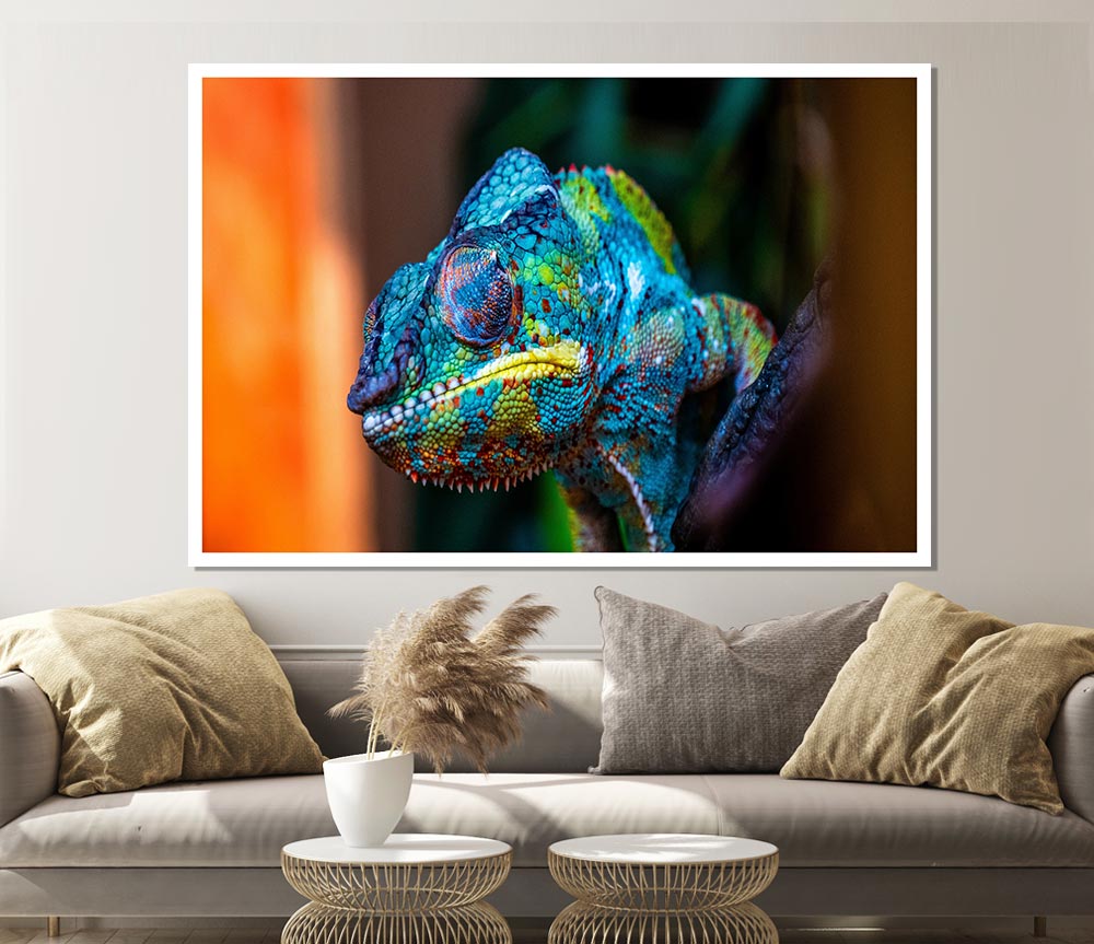 Chameleon Up Close Print Poster Wall Art