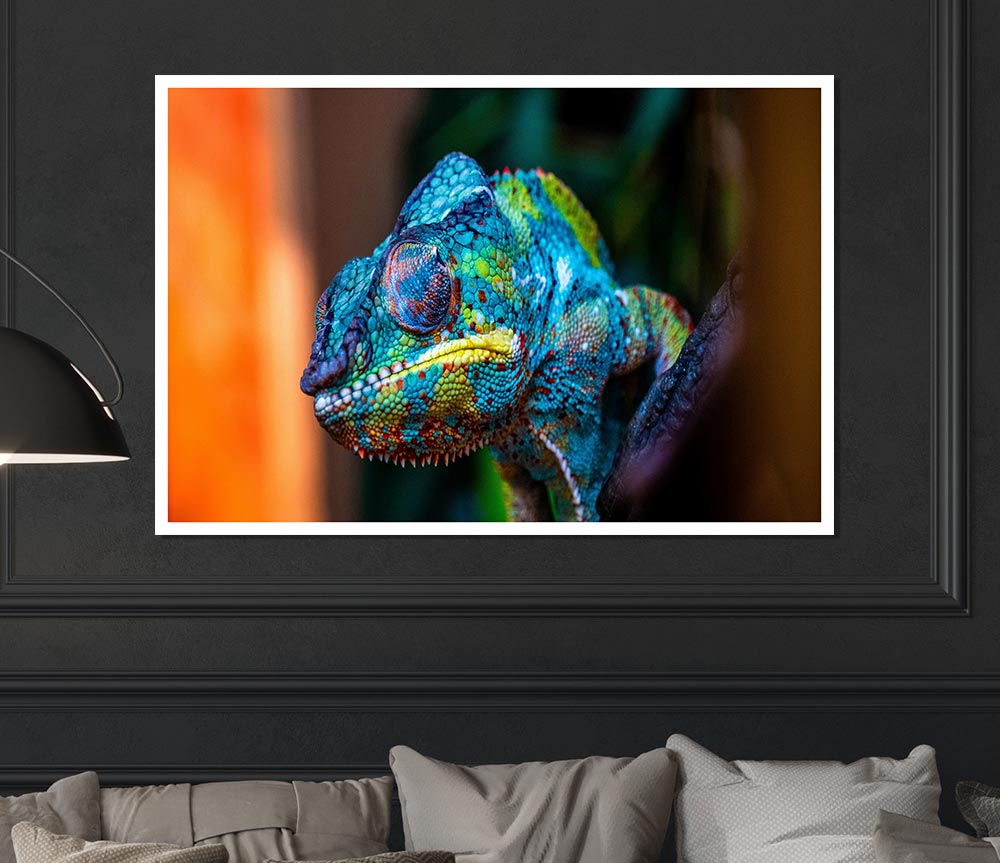 Chameleon Up Close Print Poster Wall Art