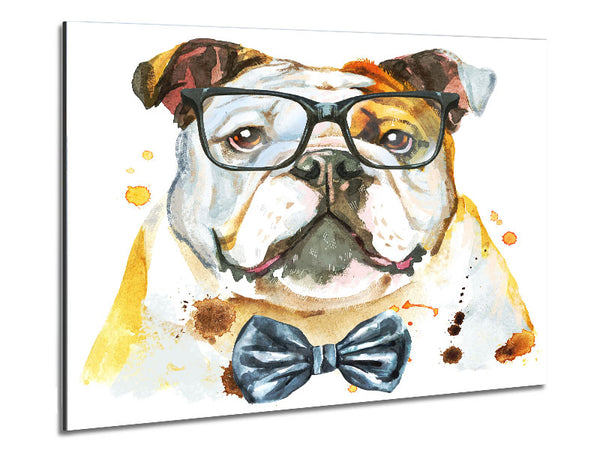 The Bulldog With Glasses