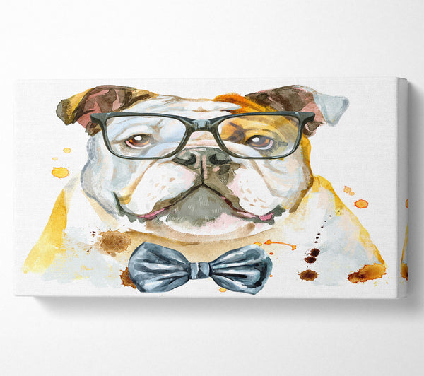 The Bulldog With Glasses