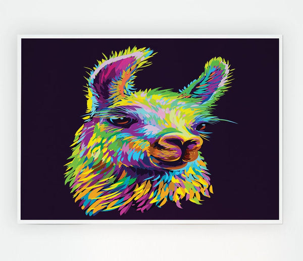 The Llama Head Print Poster Wall Art