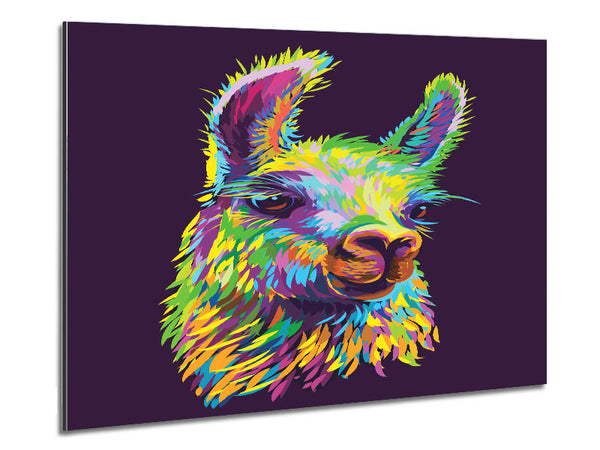 The Llama Head