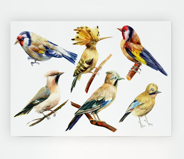 Birds Of Beauty 2 Print Poster Wall Art