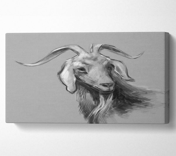 The Sketch Goat