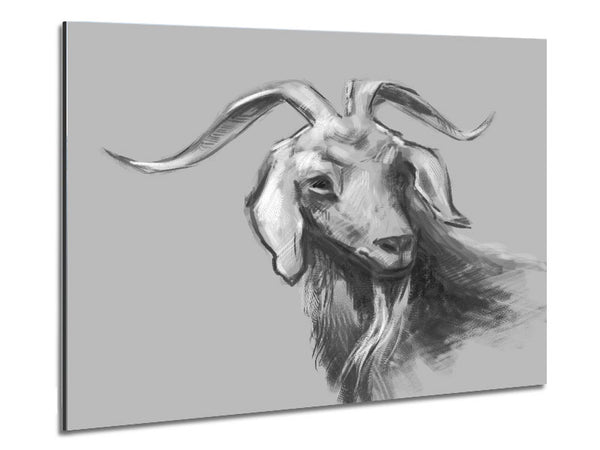 The Sketch Goat