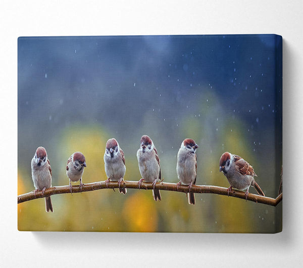 Picture of The Tits On A Branch Canvas Print Wall Art