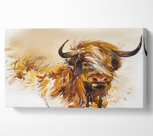 The Orange Highland Cow