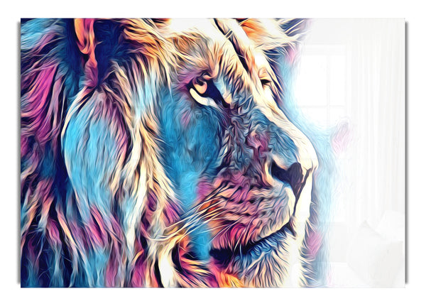 Cool Blues Lion