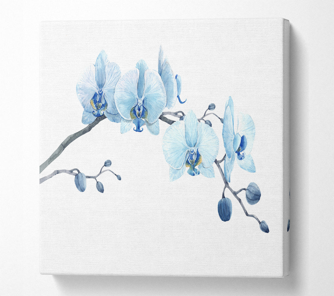 A Square Canvas Print Showing The Blue Orchid Curve Square Wall Art