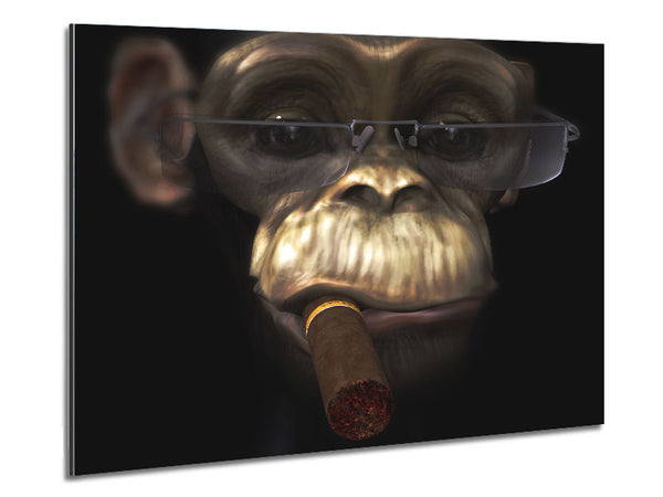 The Chimp Cigar Smoker