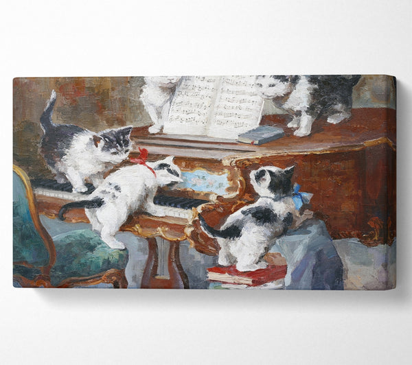 Die Katzen spielen Klavier