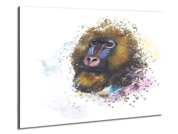 Mandrill Watercolour Splash