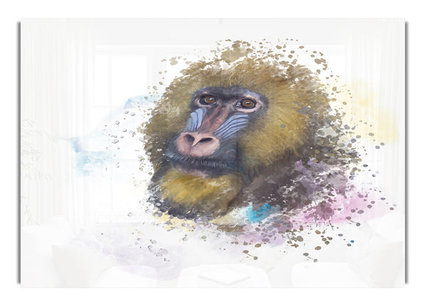 Mandrill Watercolour Splash